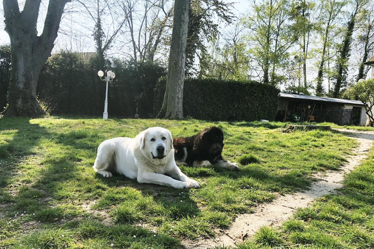 Les Grands Tilleuls Guignes Buitenkant foto